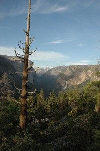 Inspiration Point Trail-Yosemite