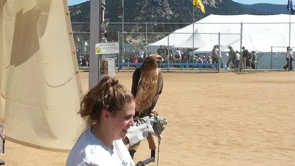 Birds of Prey tent; Scottish Highlands Festival 2013, Estes Park CO 